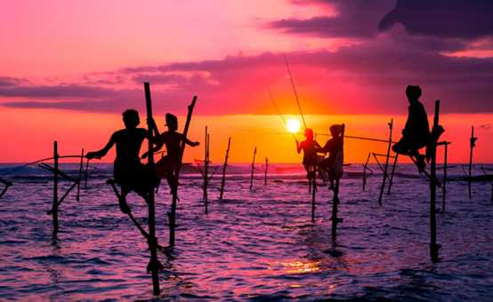 Sri Lanka's Enchanting Tradition: Stilt Fishing