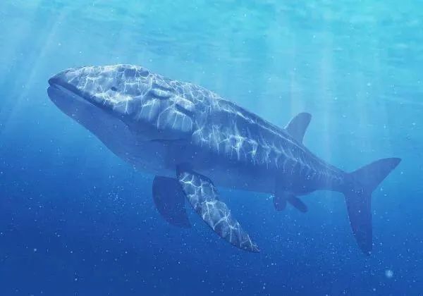 Leedsichthys: The Gentle Giant of the Prehistoric Seas